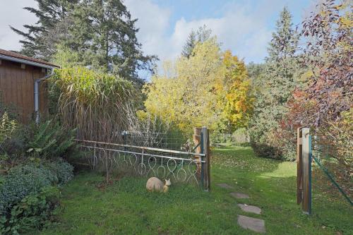 Le Chalet Cosy piscine et spa