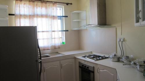 Aadi Villa, Mont Choisy (foto 3)