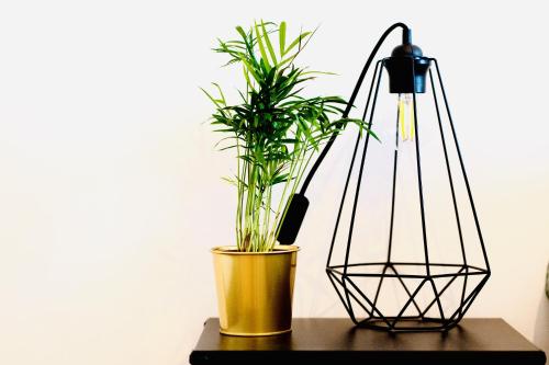 PLANT HOUSE Roma San Paolo, Rom (Foto 6)