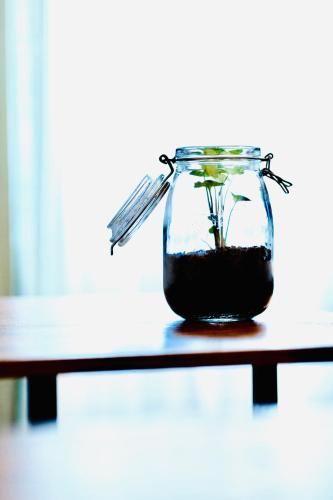 PLANT HOUSE Roma San Paolo, Rom (Foto 9)