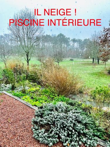 La Méridienne - Piscine chauffée - Terrasse - Parc