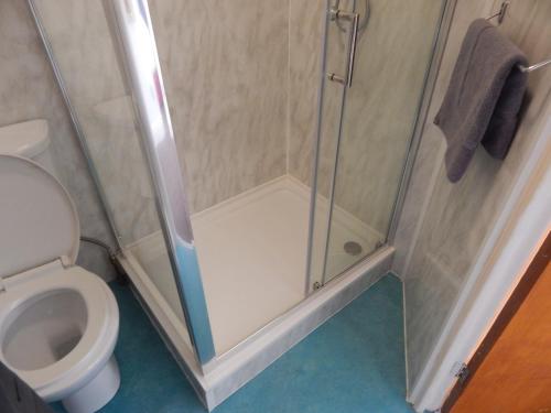 Llanryan Guest House - image 14