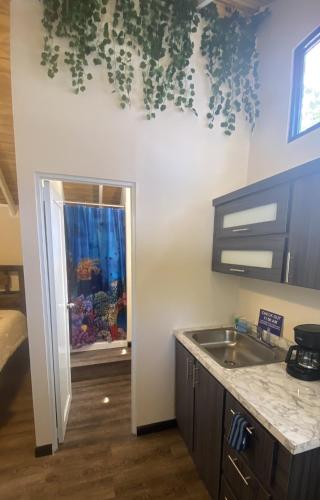 Cucina, Blue House Joyuda in Cabo Rojo