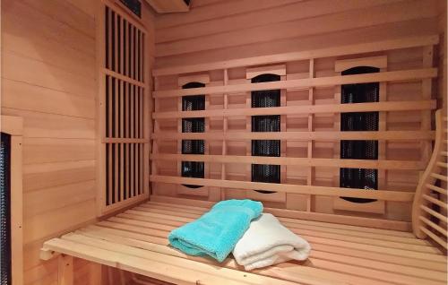 Attractions, Amazing Home In Stavenisse With Sauna in Tholen