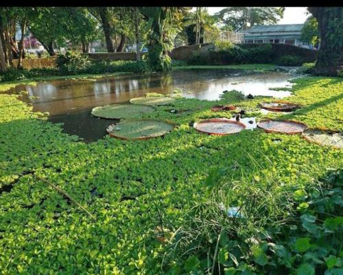 Hotel Alto Amazonas