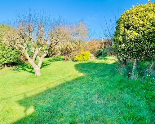 Beautiful Garden Room with Private Entrance 5