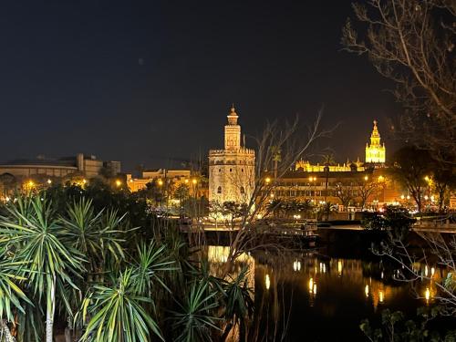 Milenium Palace - Garaje incluido - Piscina-FIBES