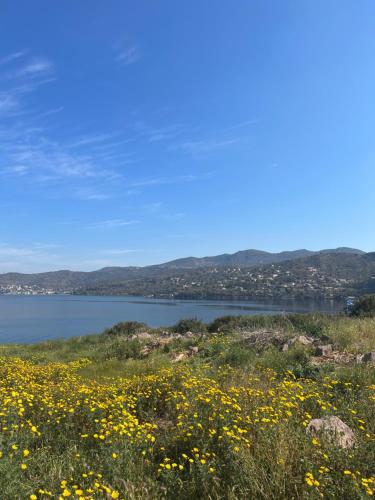 Perdika's Nest, family friendly house by the sea