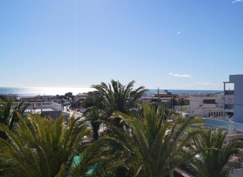 APCOSTAS - Complejo Al Andalus - image 13