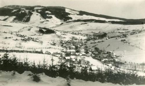 Třilužkovy pokoj Standart ID pokoje 4917188