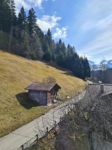 Traditional chalet in Wengen - Top Floor, Wengen (fotografie 8)
