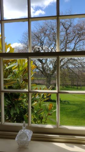 Kilátás, Buckley Farmhouse B & B in Sidbury