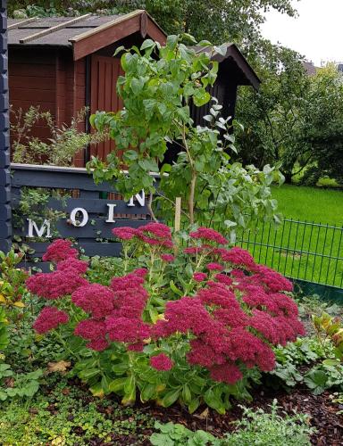 *Weigelt - Ferienwohnung Issy, Greetsiel (foto 7)