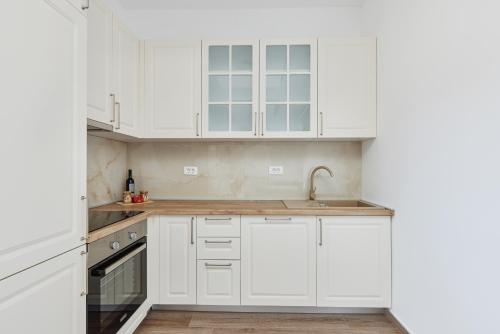One-Bedroom Apartment image 6