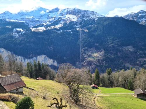 Traditional chalet in Wengen - Top Floor, Wengen (fotografie 6)