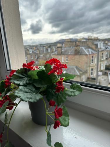 Rosehall Hotel, Edimburgo (foto 8)