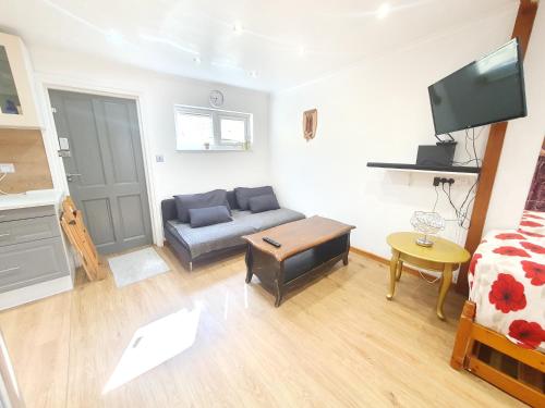 Studio apartment, TV, WiFi Kitchen Parking, Wembley Elizabeth Line - Apartment - Northolt