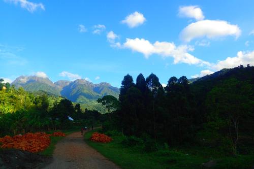 Okolí, Summit Guesthouse in Kasese