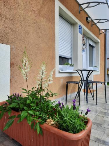 Balkons/terase, Apartmani Venium in Krizevci