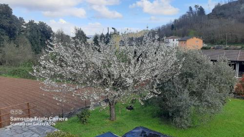 Agriturismo La Via Del Sale in Pignone