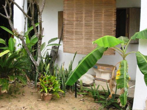 Los metates, Zipolite (foto 10)