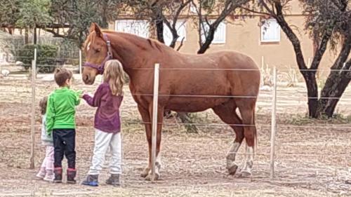 La Comarca, San Javier (photo 8)
