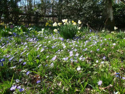 White Lodge B&B - image 12