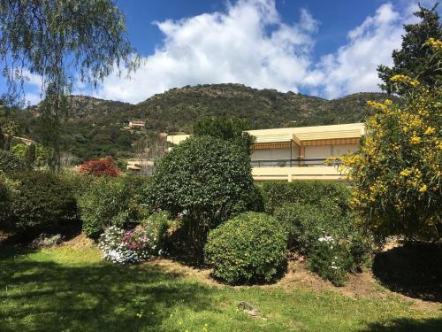 Appartement Le Lavandou, 2 pièces, 4 personnes - FR-1-308-175