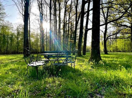 Domaine de Charnay Vierzon Plaisance Sologne - Des chambres d'exception côté forêt, délicieusement chauffées