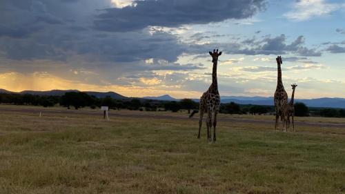 Luna rossa 19 Zebula golf course and spa resort