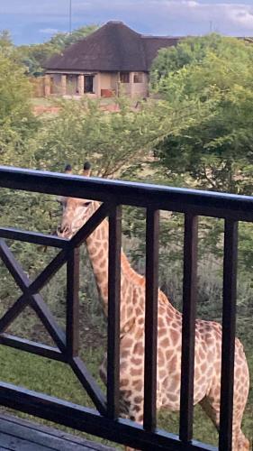 Luna Crescente 19 and 19A Zebula golf and spa resort 14 Pax Bela Bela Limpopo