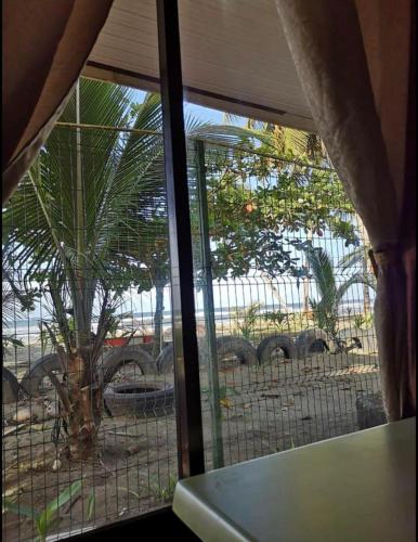 . Apartamentos Zamora