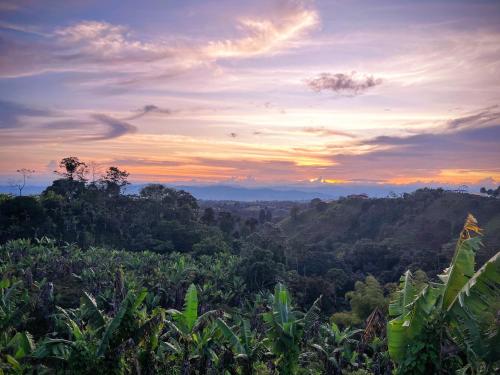 Casa vacacional Campestre Filandia Quindio (Wifi)