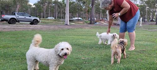 Gum Tree Lodge