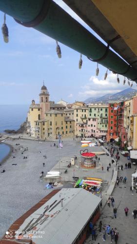  Blue Windows in Camogli