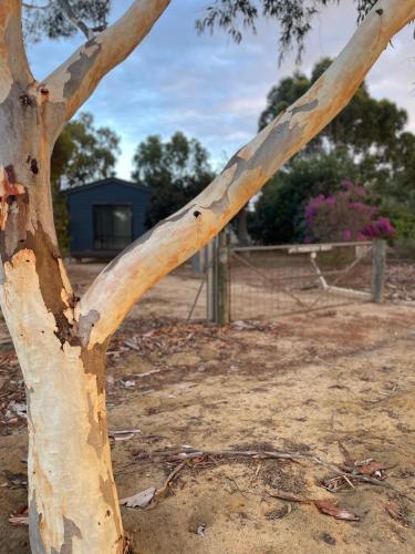 Cosy Cottage in Geraldton - "Moresby Rest"