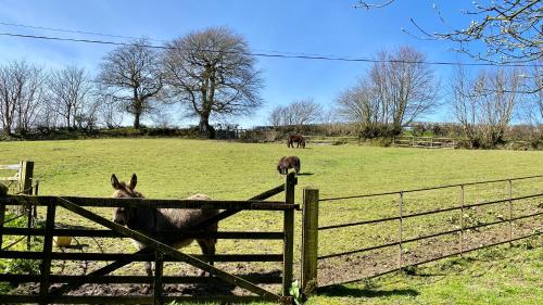 Beachborough Country House