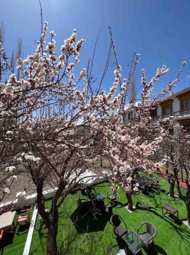 zikzik holidays – Leh, PA