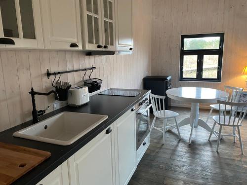 virtuve, Ragāres Holiday Home (Ragares Holiday Home) in Jurmalciems