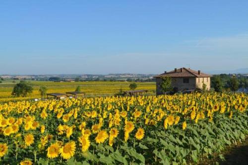 Accommodation in Panicale