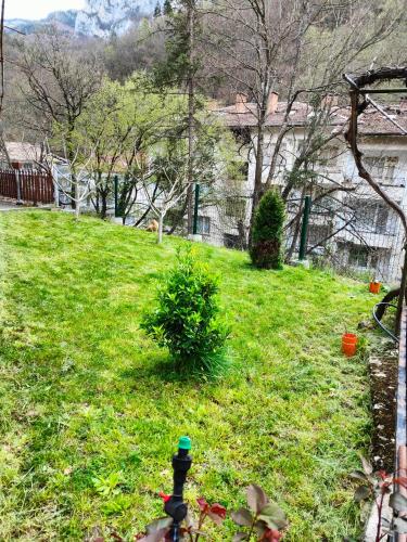 Дом Бакалски-Кмета, Narechenski Bani (foto 10)