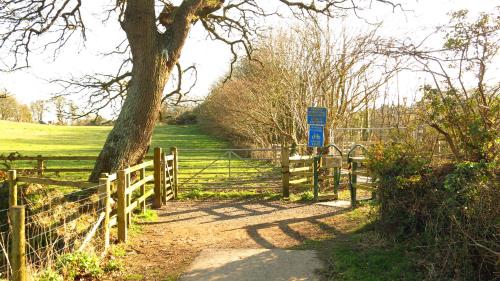 Ivybridge Guesthouse - image 10