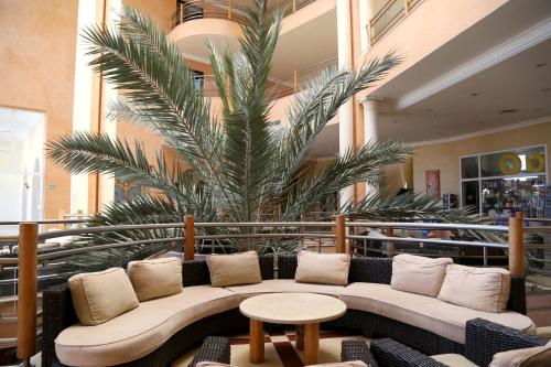 Létesítmények, Eden Star Resort in Zarzis