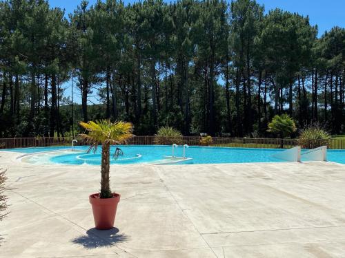 Maison Pierre&Vacances*** Lacanau Océan - Location saisonnière - Lacanau