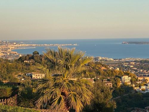 Appartement avec vue mer panoramique - Location saisonnière - Mandelieu-la-Napoule