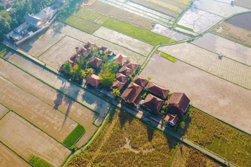 Bhumi Kasuryan Borobudur Magelang