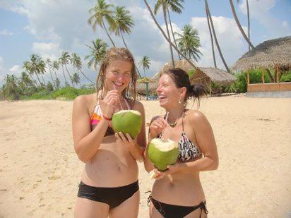 The Alpha Monkey hotel & Tree house photo