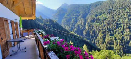 Pixnerhof Urlaub auf dem Bauernhof 3