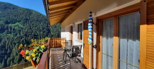 Pixnerhof Urlaub auf dem Bauernhof 2