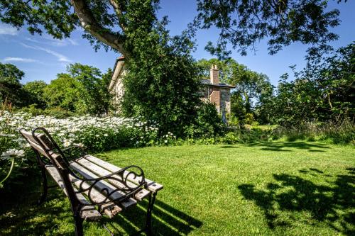 trädgård, Cosy Wolf Bed & Breakfast in Freshwater South